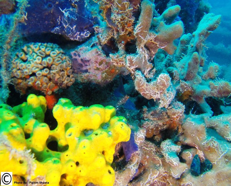 DCIM100GOPROG0039437.