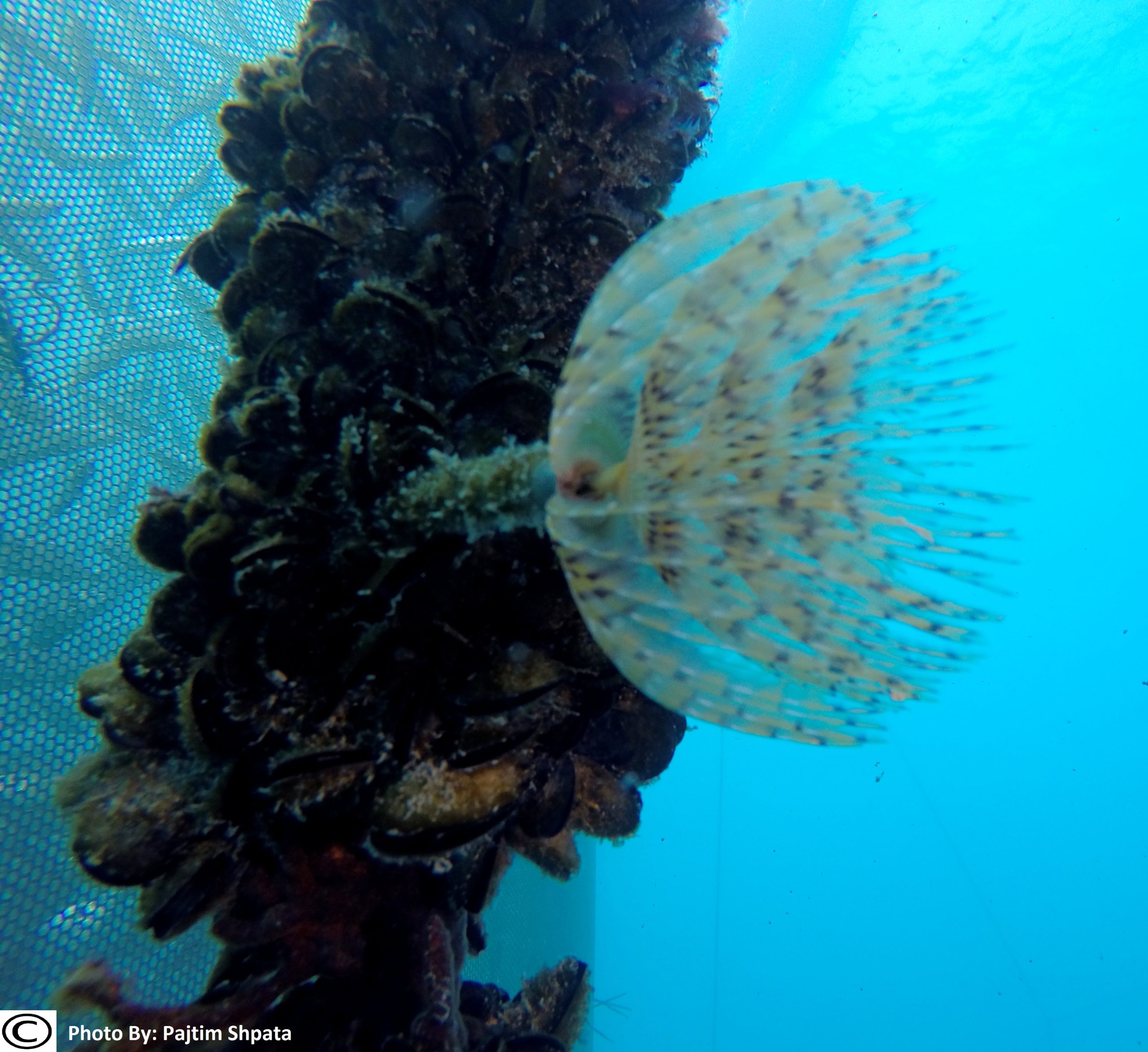 DCIM100GOPROGOPR0856.