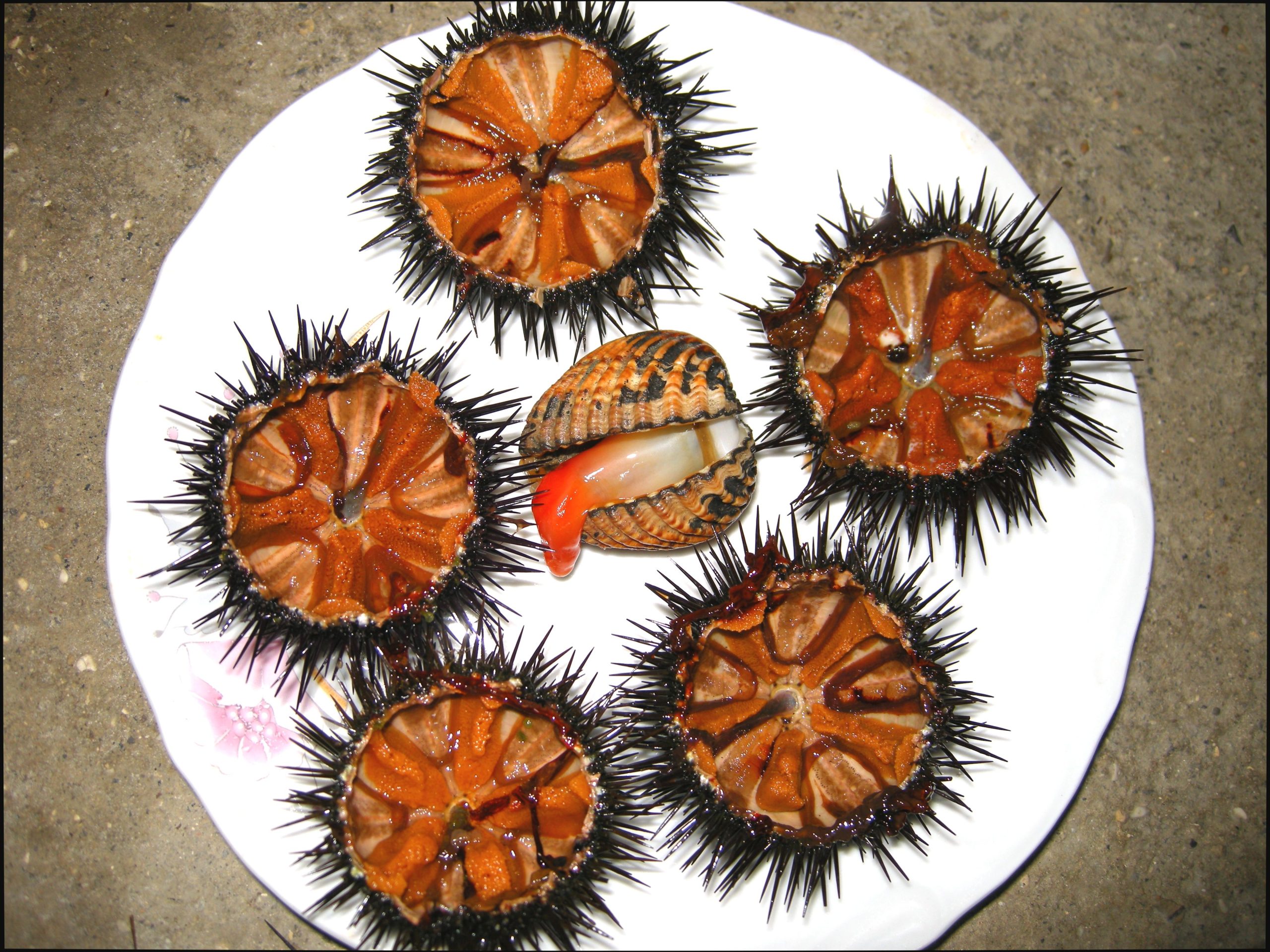 A dish of sea urchins