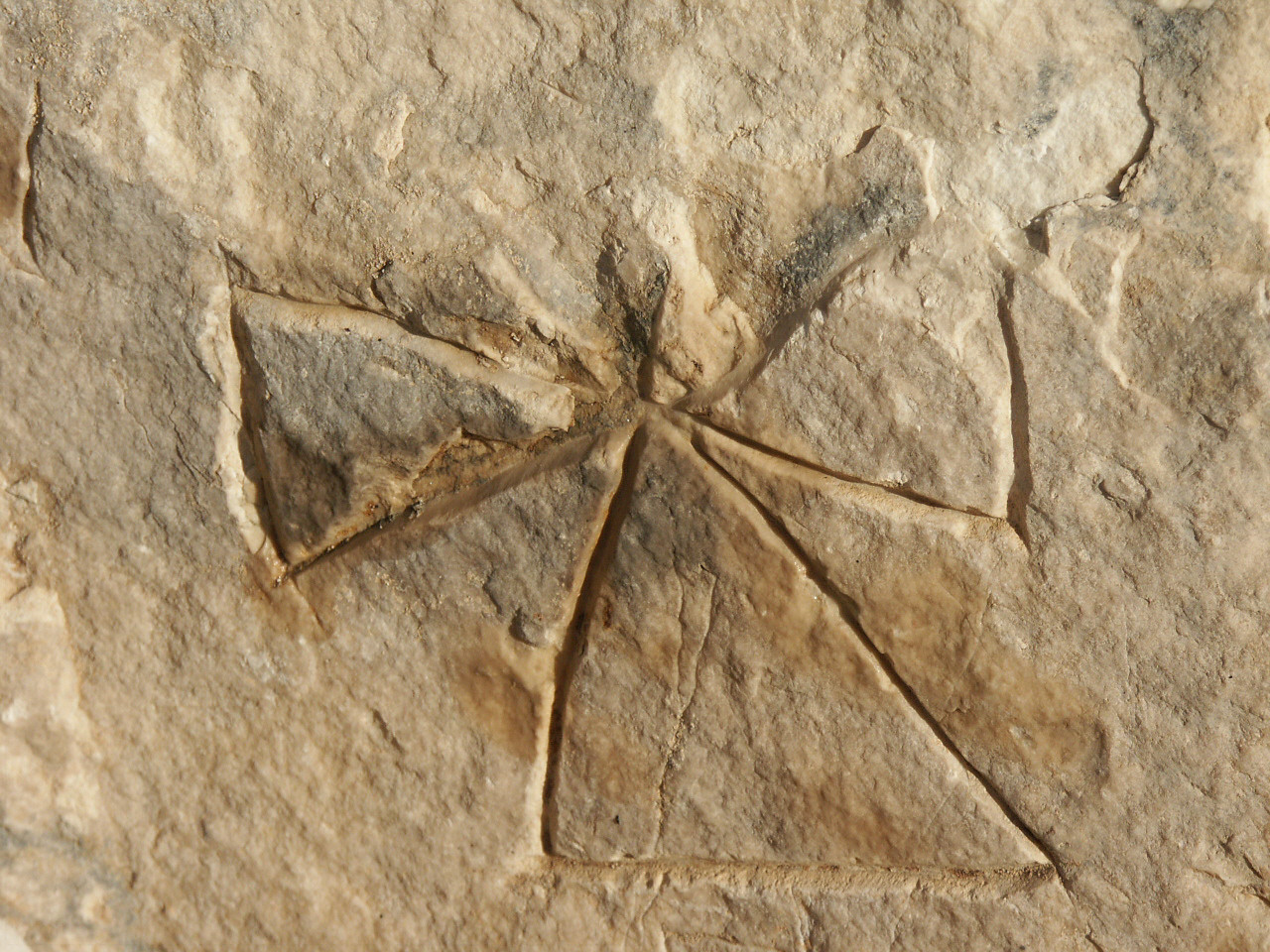 Rock engraves in Grama Bay 3